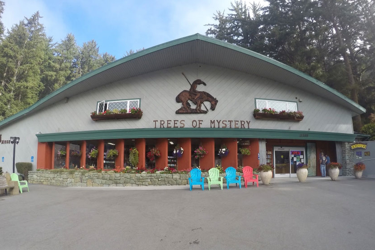 Sightseeing While Driving: Pacific Coast Highway