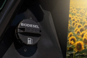 Biodiesel and renewable diesel fuel alternatives.