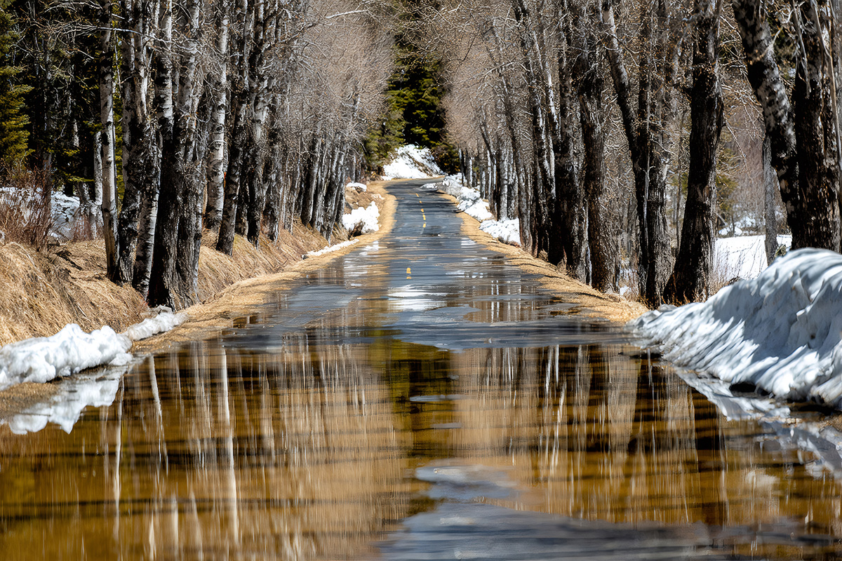 A road wet from melting snow.