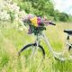 How to Handle Spring Changes