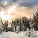 Driving in the Snow: How to Prepare for Road Conditions